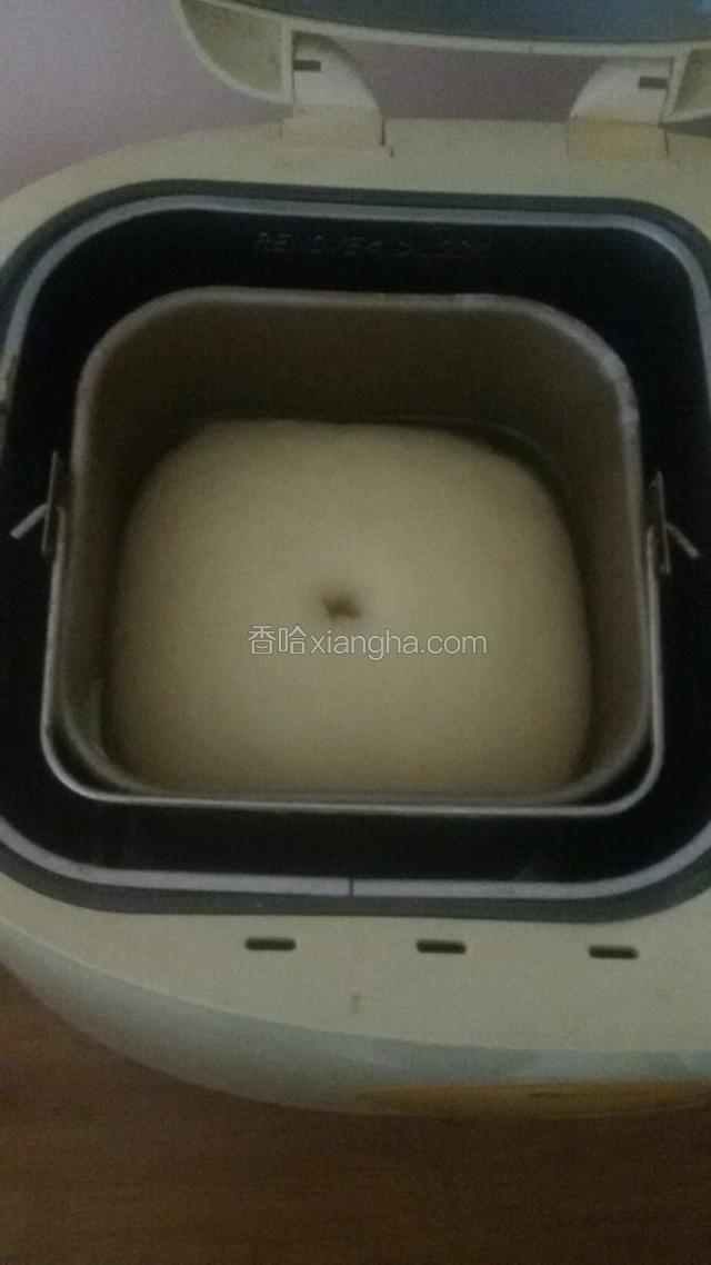 大约两个小时就发酵好了如图