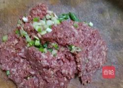 牛肉白菜馅饺子的做法图解1
