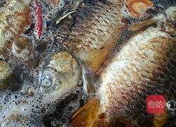 家熬鲫鱼的做法图解8