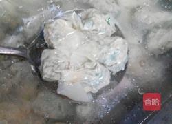 菜肉魚尾雲吞的做法图解15