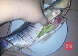 青椒红烧鱼的做法图解1