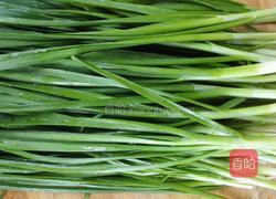 宝宝肉泥饺子的做法图解1