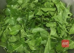 瘦肉枸杞叶的做法图解1