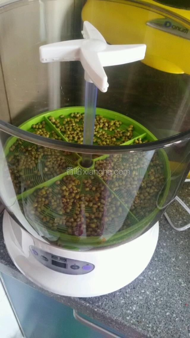 放进豆芽机底上