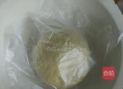 胡萝卜肉馅饺子的做法图解10