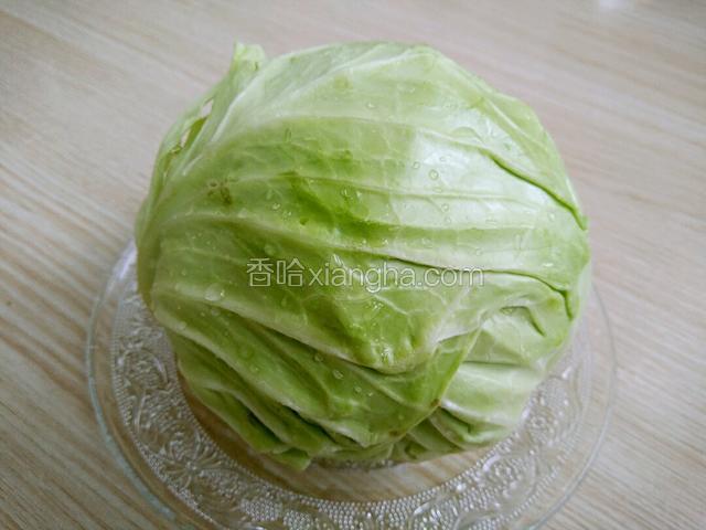 洗净的圆白菜一个