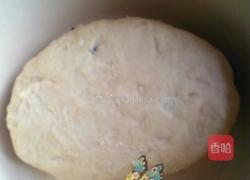 椰蓉面包的做法图解2