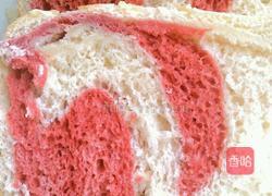 双色土司的做法图解10