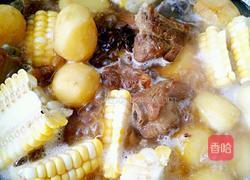 土豆炖排骨的做法图解11