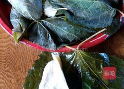 粘耗子的做法图解6