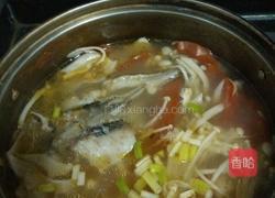 清淡鲫鱼汤的做法图解5