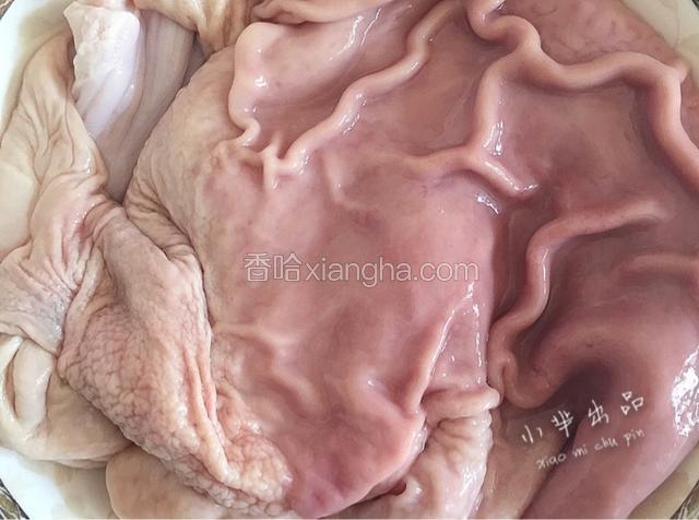 猪肚用盐、生粉清洗干净，直到没粘液为止。