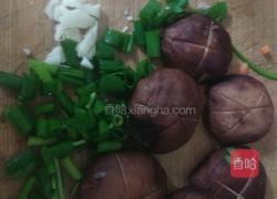 蚝鲍生菜的做法图解2