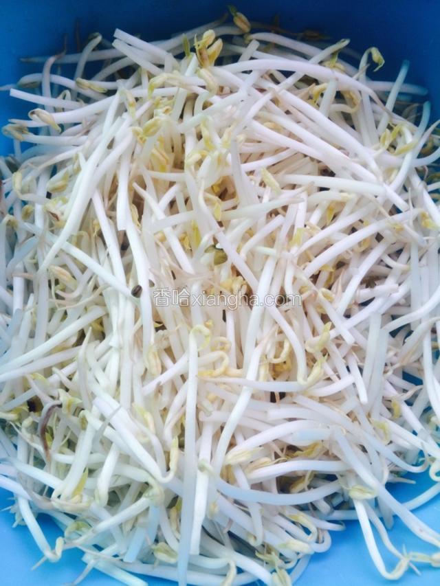 绿豆芽洗净 控干水