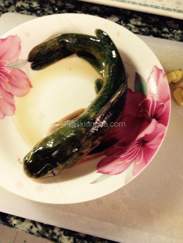 我挑选了一条大的黄骨鱼，如小点的可买两条就够孩子吃了。