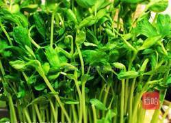 蒜香豆苗的做法图解2