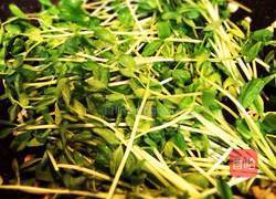 蒜香豆苗的做法图解4