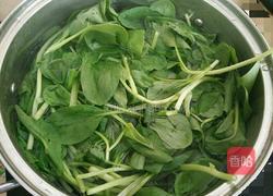 虾皮拌鸡毛菜的做法图解3