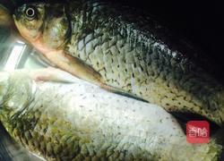 野生鲫鱼豆腐汤的做法图解1