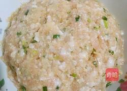 水晶萝卜肉馅煎饺的做法图解5