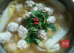 菜心嫩肉丸的做法图解5