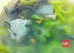 清凉薄壳苦瓜汤的做法图解6