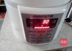 木瓜雪耳糖水的做法图解5