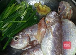 焖红珊鱼的做法图解1