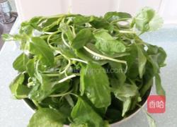 上汤苋菜的做法图解1