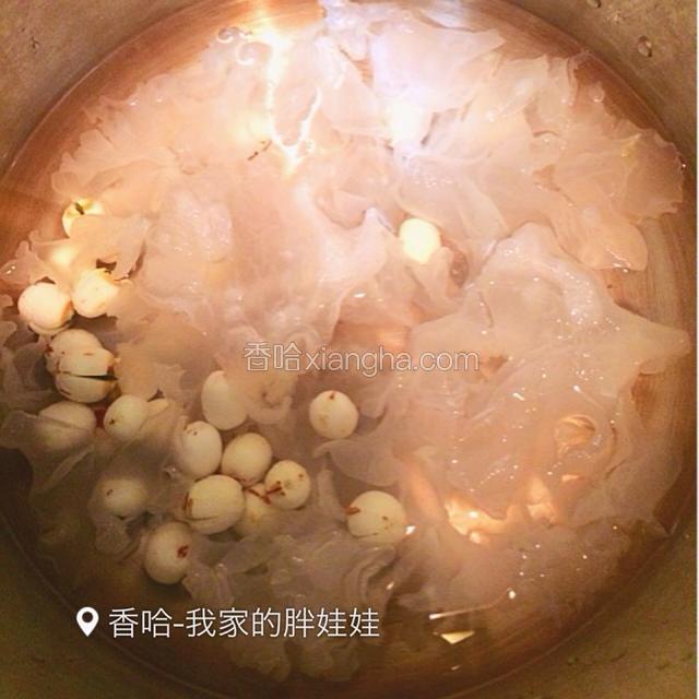 洗好了银耳和莲子以后，放入高压锅里，加入清水