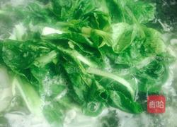 冬瓜裙带汤的做法图解6