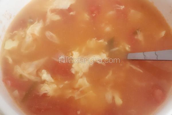减肥西红柿蛋汤