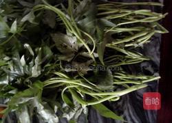 蒜蓉炒蕃薯苗的做法图解1