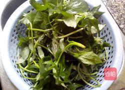 蒜蓉炒蕃薯苗的做法图解3