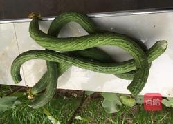 蒜蓉丝瓜的做法图解1