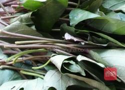 凉拌红薯叶的做法图解1