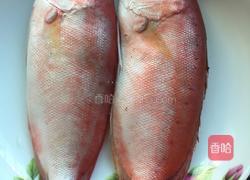 冬菜焖大眼鸡鱼的做法图解1