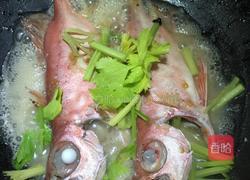 冬菜焖大眼鸡鱼的做法图解6