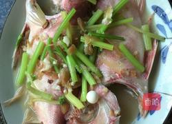 冬菜焖大眼鸡鱼的做法图解7