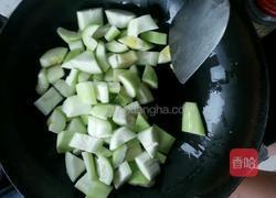 双鲜瓠子(双截棍瓠子)的做法图解4