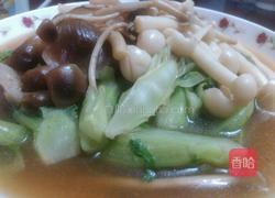 双菇扒生菜的做法图解5