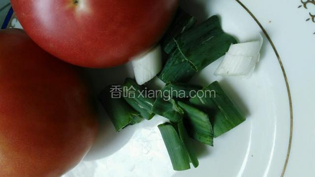 备好葱花'亲爱的喜欢吃葱叶'所以葱叶多一些的'亲们随自己的习惯吧