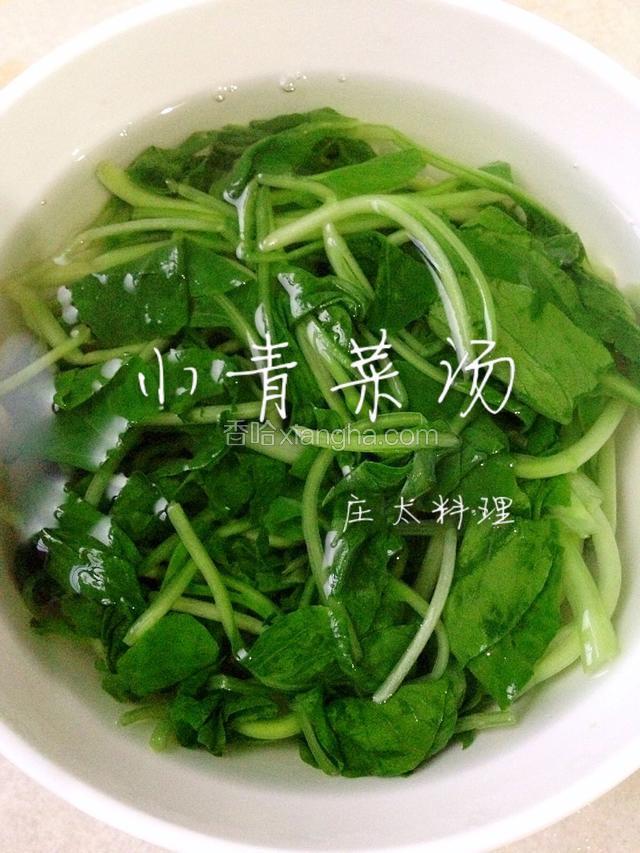 排骨饭配上一碗小青菜汤，真是极好！