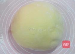 南瓜火腿肠花卷的做法图解6