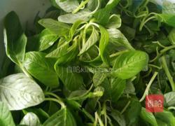 凉拌小米菜的做法图解1