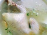 鸽子蘑菇汤的做法[图]