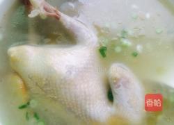 鸽子蘑菇汤的做法图解5
