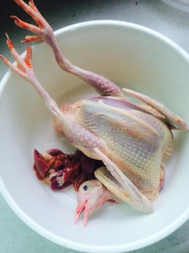 卖鸽子的地方给杀好 回家洗净就行了 煮汤的鸽子最好买老点的 
