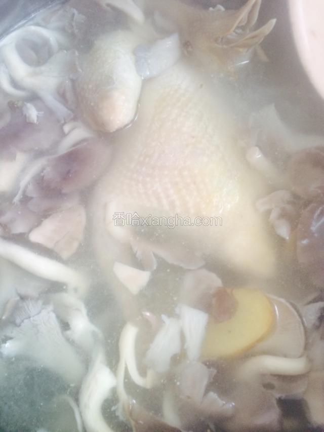 小火炖了一个半小时 放入焯过水的蘑菇