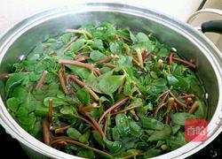 凉拌马齿苋的做法图解3